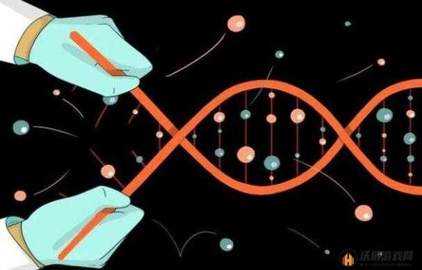 母亲 DNA 与儿子 DNA 一致的奇妙关联：科学探究背后的奥秘