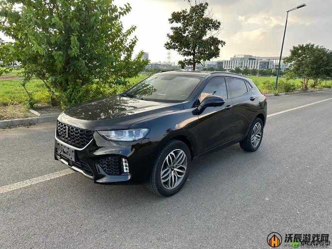 WEY VV5 国产 SUV 性能究竟如何？深度剖析让你了解真相