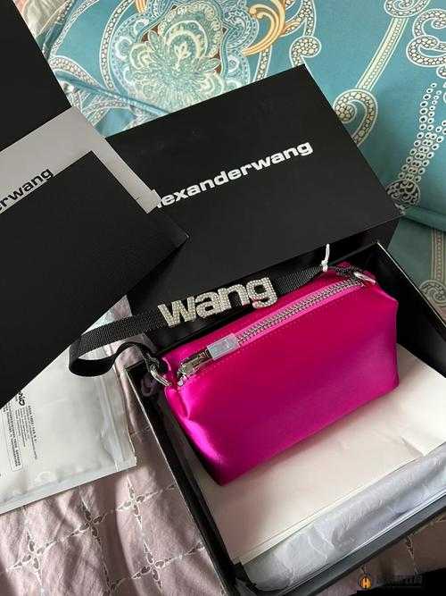 ALEXANDERWANG 妈妈评测：深度剖析时尚品牌的权威解读