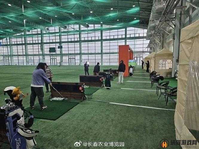 我成了大家的高尔夫球洞：这是怎样一种奇特体验呢