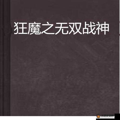 无双战神双开技巧与挂机教程，详细图文全攻略解析