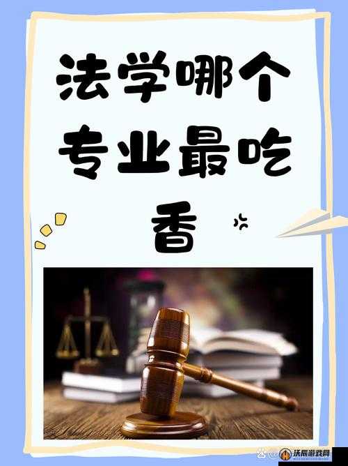 乂ⅩXⅩⅩⅩⅩⅩX：关于其深刻内涵与广泛影响的全面探讨