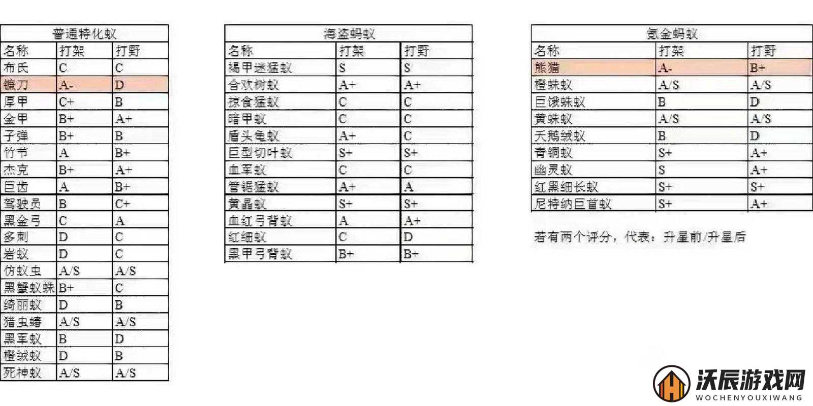 小小蚁国，如何查看个人角色信息及其在资源管理策略中的关键作用