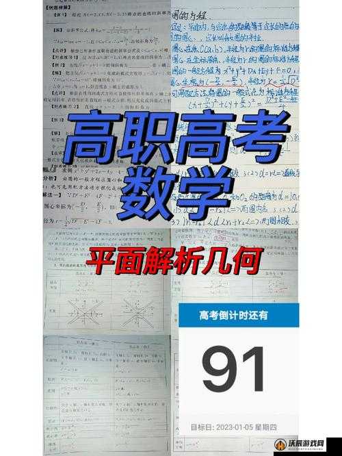 繁盛农场前期发展深度剖析，资源管理优化与实施有效发展策略