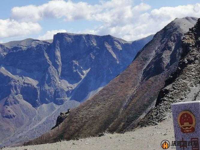 地心守护重生点，功能、作用及影响深度解析与探讨